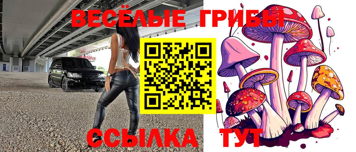 Егорьевск  Галлюциногенные грибы мухоморы  Вход с VPN  Псилоцибиновые грибы Psilocybe 
