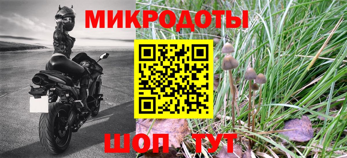 Псилоцибиновые грибы Psilocybe Егорьевск